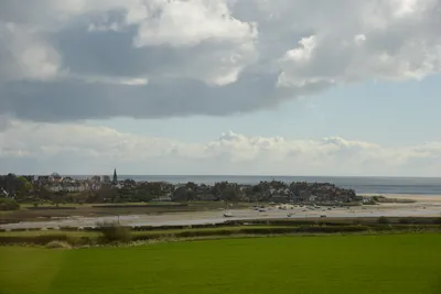 DSC_7208 (Large).JPG